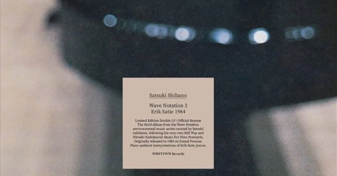 柴野さつき(Satsuki Shibano)「Wave Notation 3: Erik Satie 1984