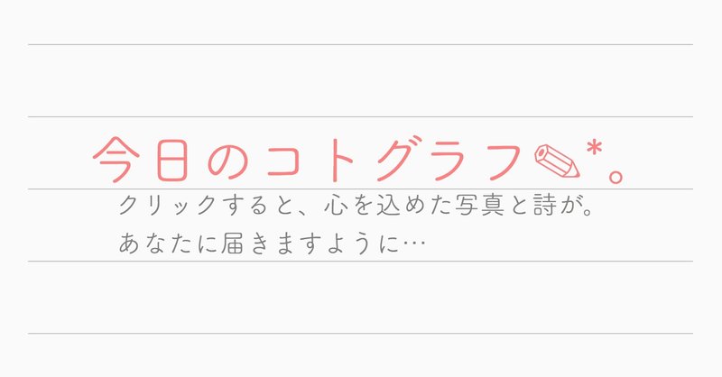 良くも悪くも 揺さぶられる感情の振り幅と恋の熱量は比例する ソナチネ詩音 公式 コトグラフ作家 Note