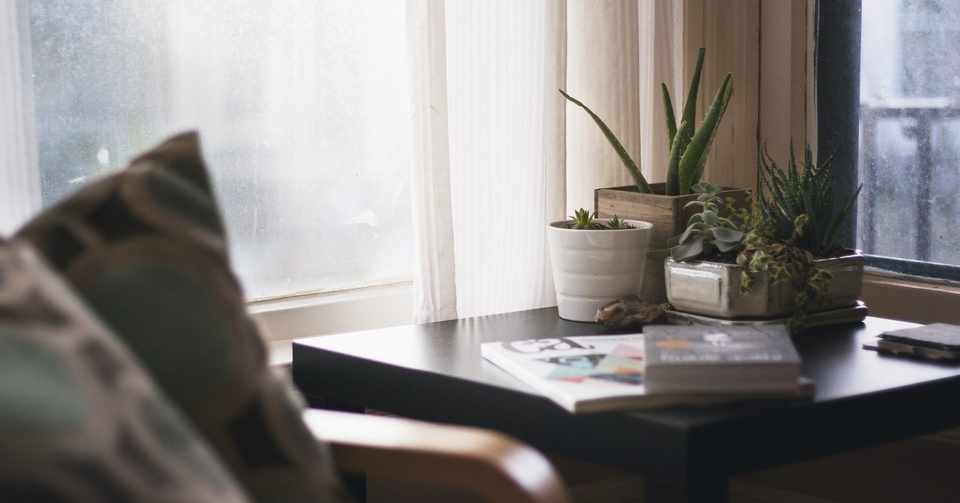 おうち時間 お部屋で観葉植物育てよう おすすめの土と虫対策 ベランダでハーブ栽培もできるよ Amy Thepremier Cafe Note