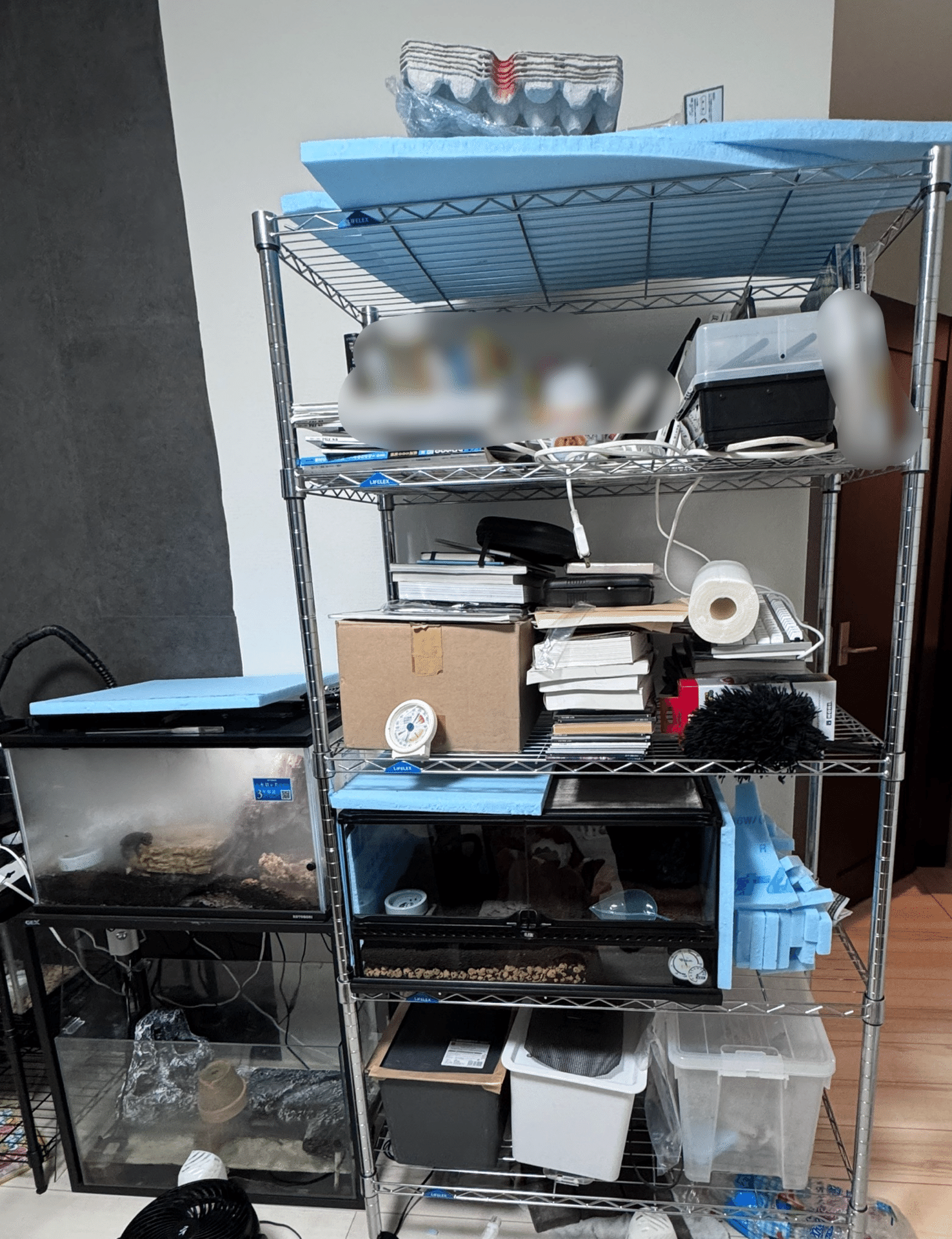 爬虫類飼育者必須アイテム「メタルラック」｜しんぺー