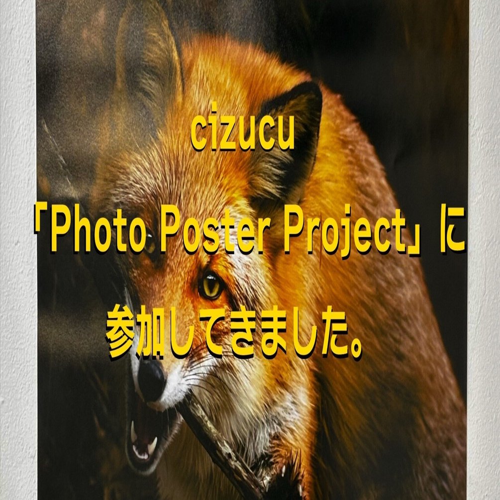 cizucu PPP（Photo Poster Project）参加レポート｜展示の流れと感想