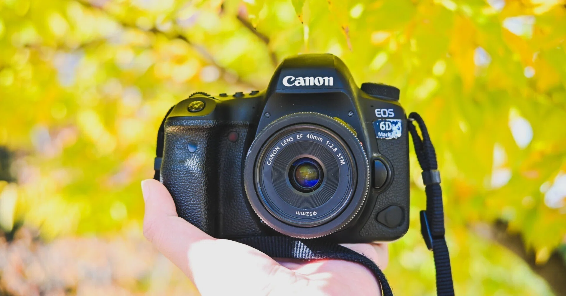 EOS 6D II】久々に一眼レフで撮ってきたよ｜もんぶらん