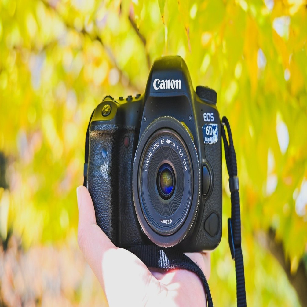 EOS 6D II】久々に一眼レフで撮ってきたよ｜もんぶらん