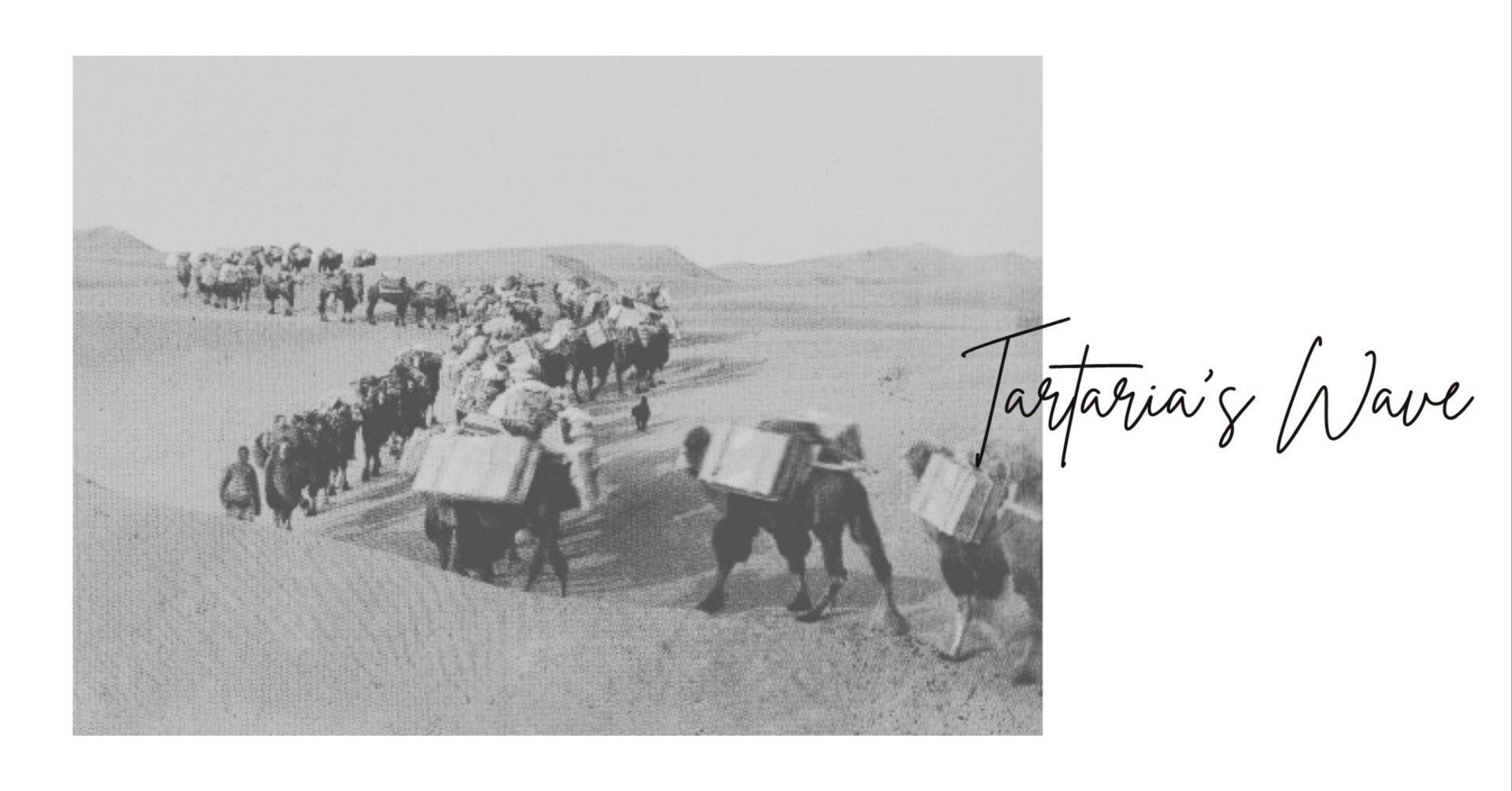 歴史考察#195『明治の僧がシルクロードへ?!』｜vérité（ヴェリテ）