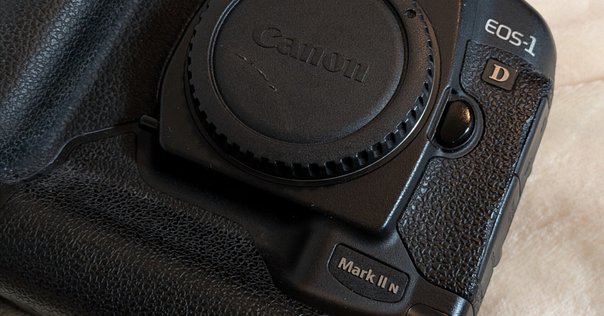 Canon 1D Mark II Nっていう豪華な遊び相手。｜sugarkrone