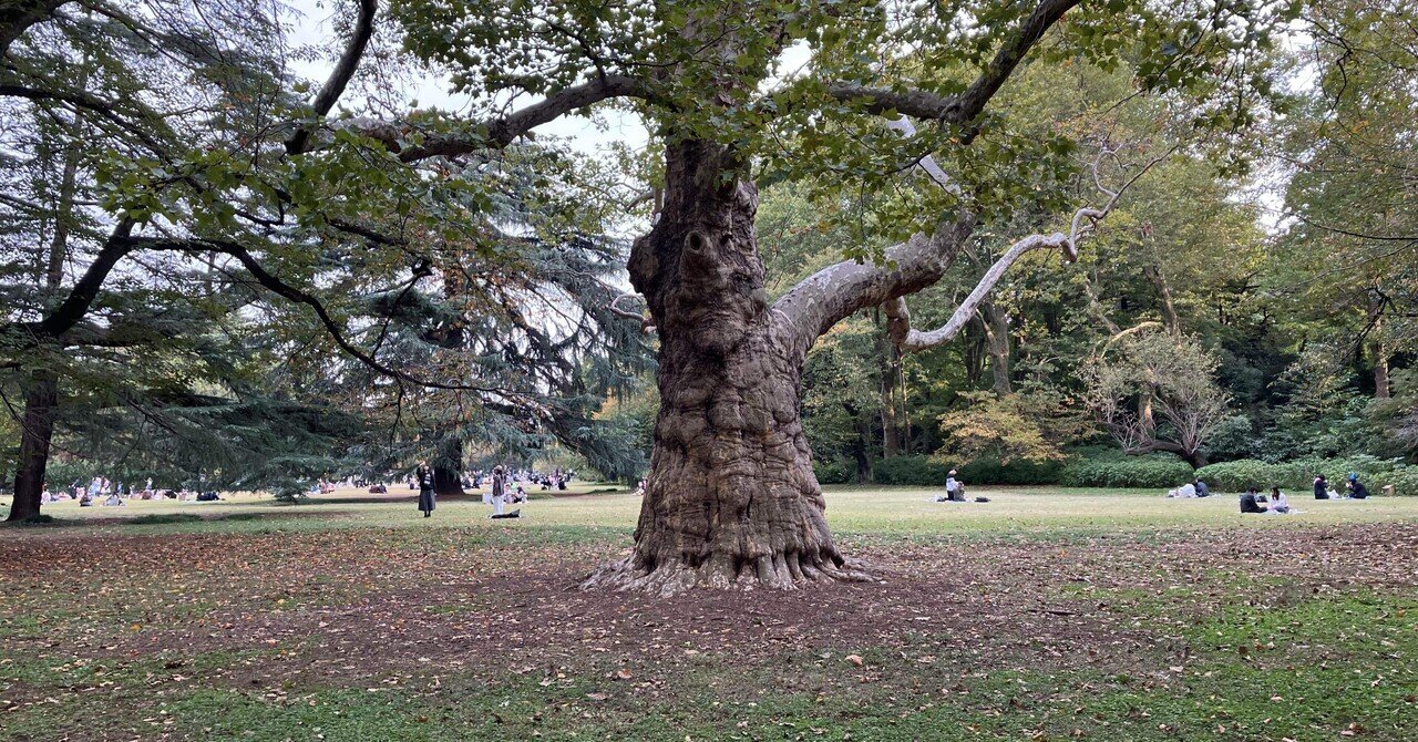 11月4日のビットコイン急落とメタプラネットなど｜Tokyo Market and Research