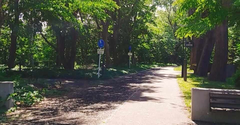 コロナに負けるな リラックスできる ポケモンbgm5選 ろんどん Note