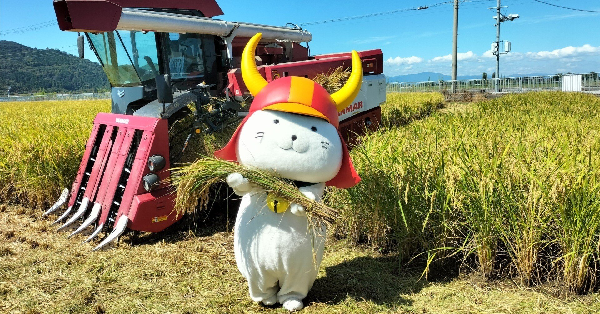 ひこにゃん」がお米を作る！？新たな地域ブランドの推進に向けて｜彦根