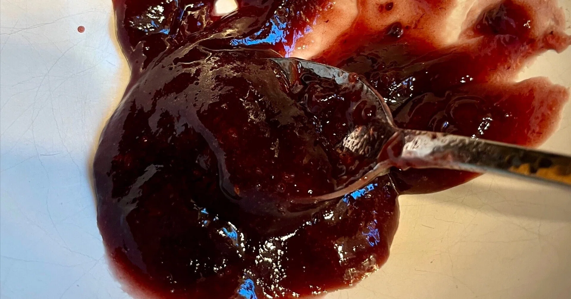Blackberry Jam Full of Seeds｜21 Boys & 野鳥
