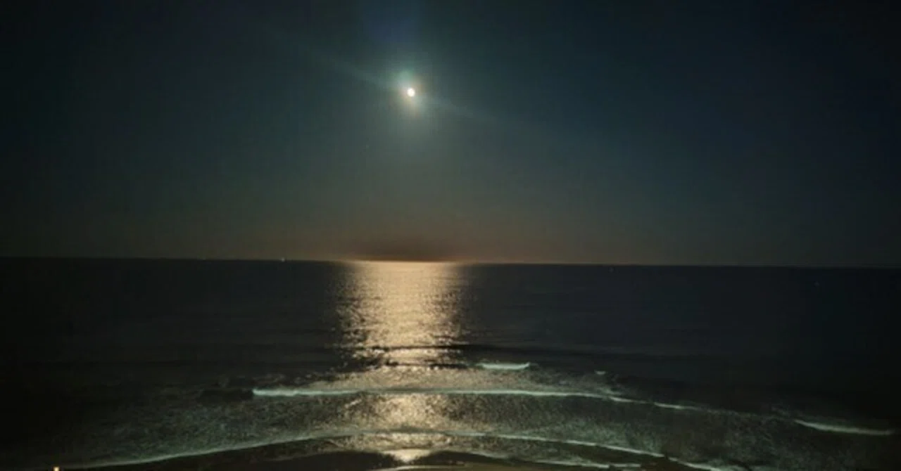 月と海のふしぎな関係 満ち欠けと潮の満ち引きを親子で学ぼう！🌕｜国語・算数学・理科・社会・英語が遊びになる～夢を叶える寺子屋ワンレスト～