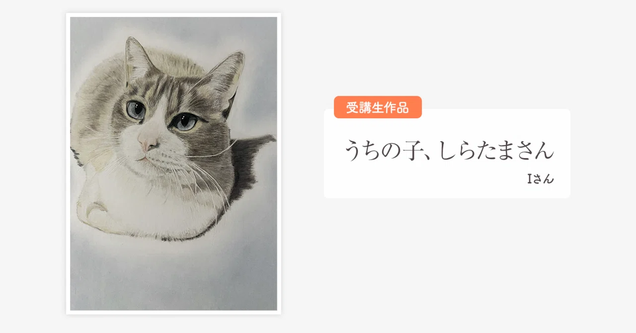 うちの子と過ごす穏やかな時間――色鉛筆がくれた、前を向く力｜ラフ株式会社