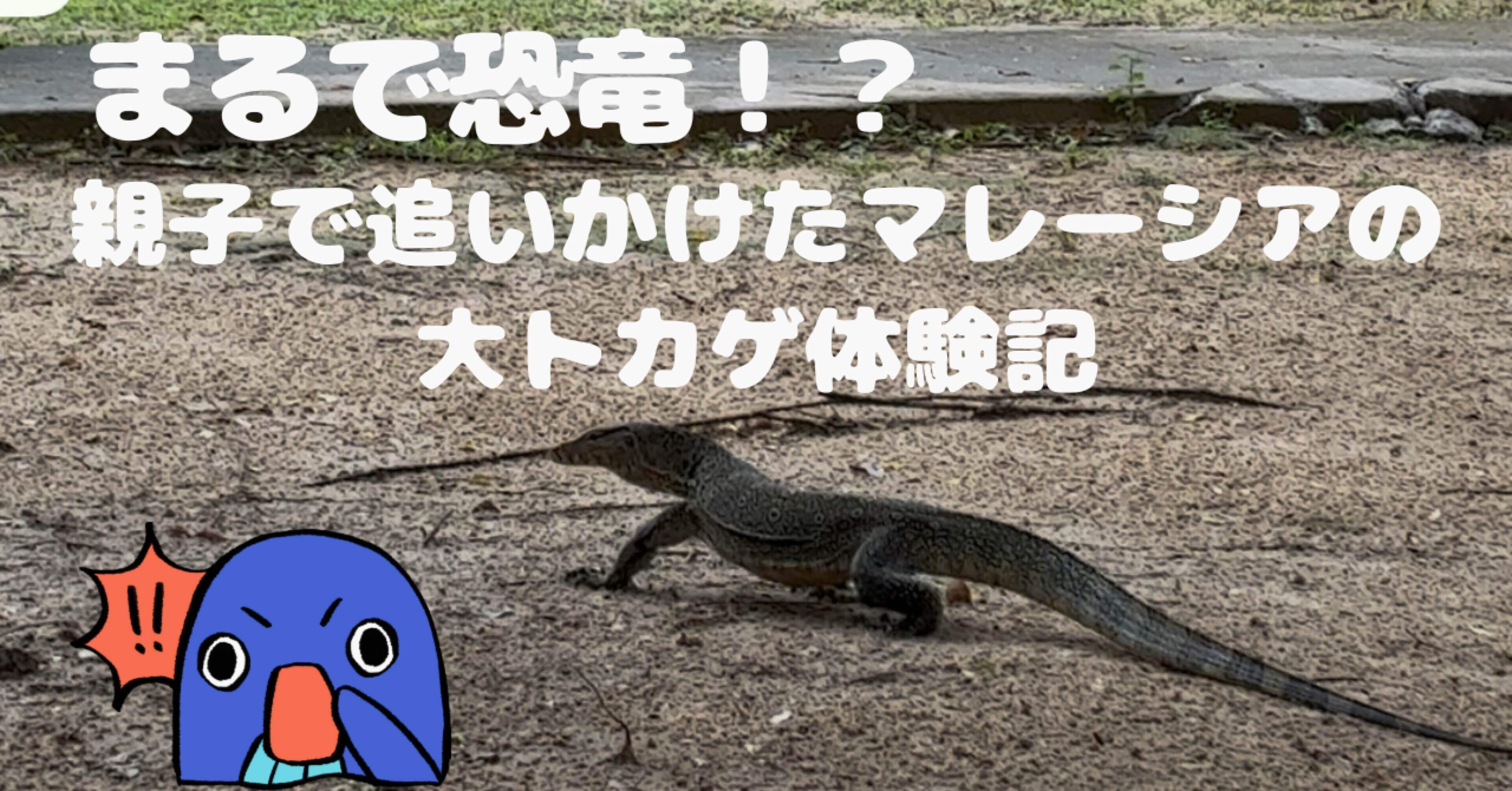 まるで恐竜！？親子で追いかけたマレーシアの大トカゲ体験記｜トマト