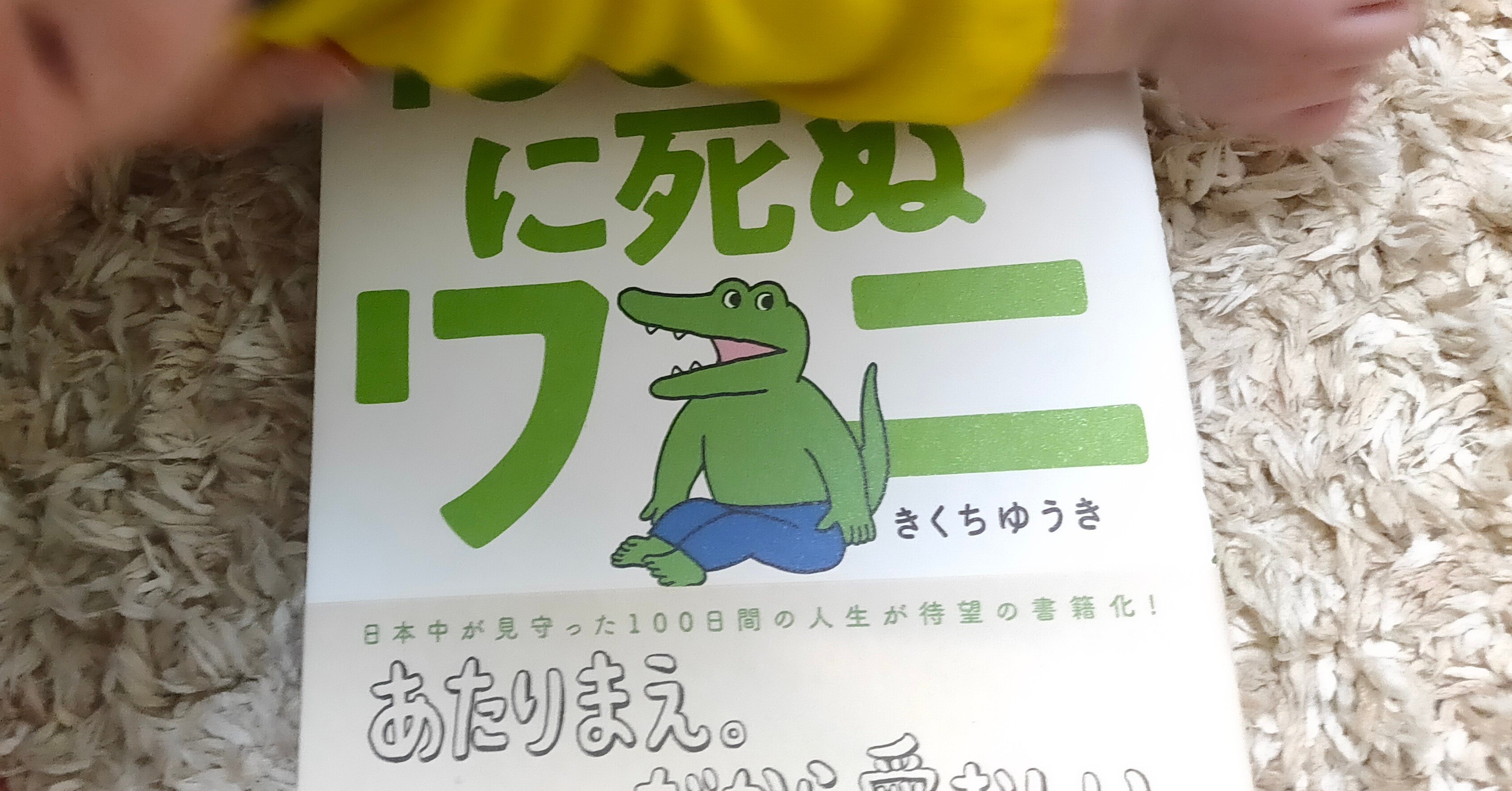 100日後に死ぬワニ 絵本 を買って愛おしい子供に与えてみた Mc Kurita Note 100日後に死ぬワニ 絵本 を買って愛おしい子供に与えてみた Mc Kurita Note