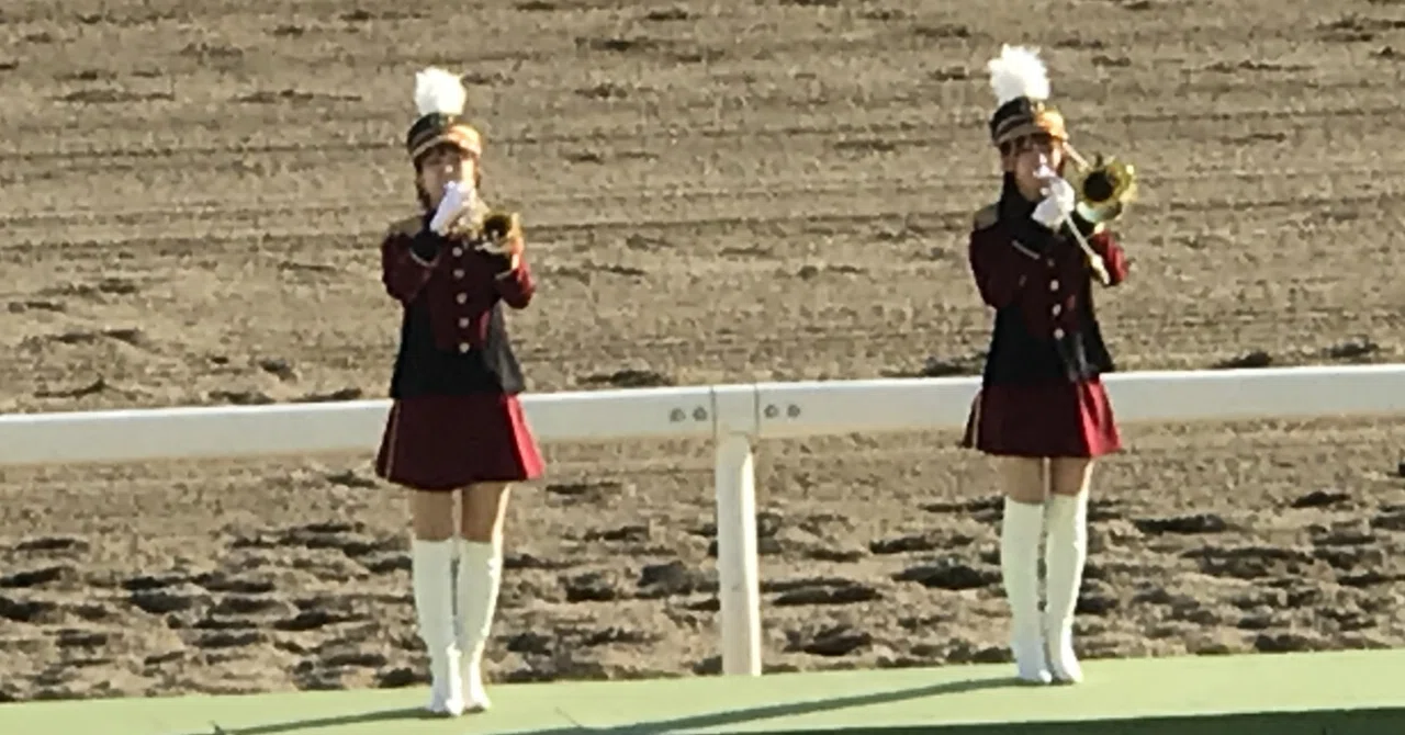 11月11日 大井競馬 全レース指数公開｜妙味馬券ハンターうま吉。