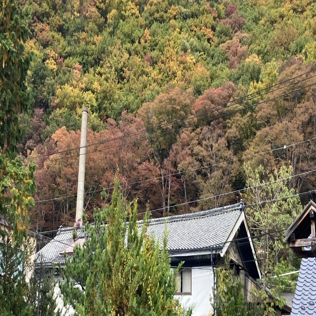 信州の酒蔵を巡る〜上田編（2）｜みどり