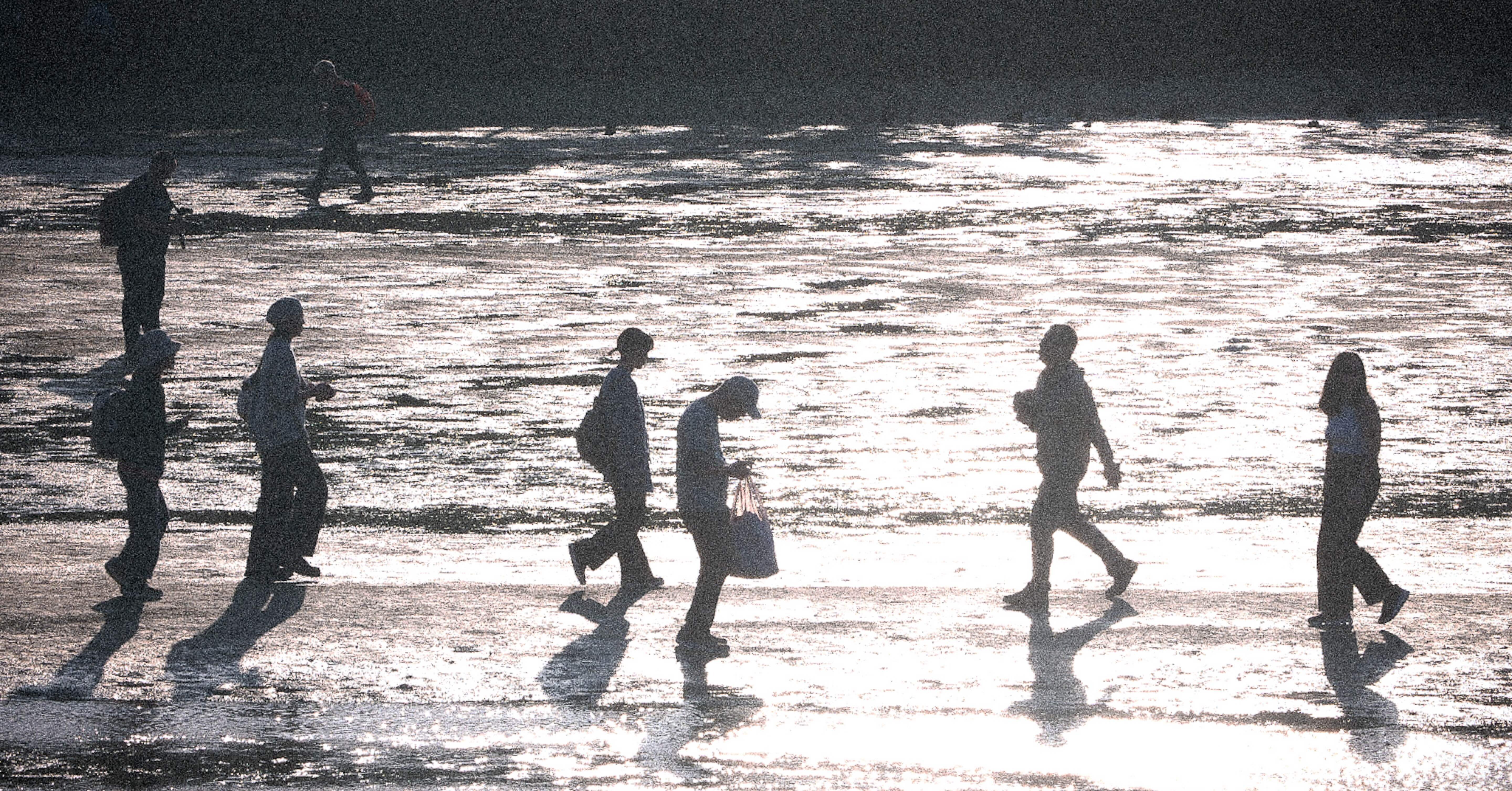 作例あり】mamiyaSEKORC80mmF4+FotodioxM645-GF 作例あり