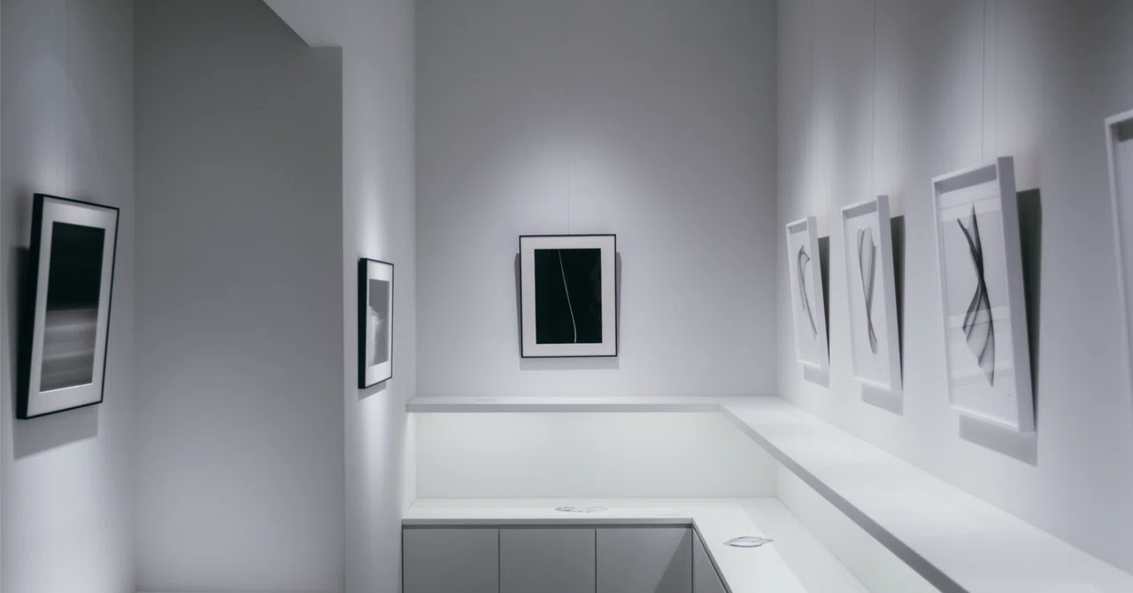 Reflecting on the Solo Exhibition 'Vanishing Boundaries, Emerging