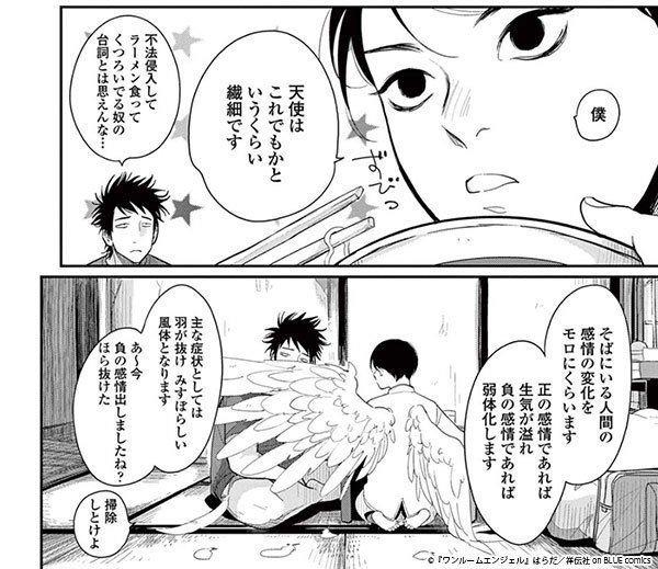 Japanese Yaoi BL Manga Comic Book / HARADA 'One Room Angel' はらだ ワンルームエンジェル