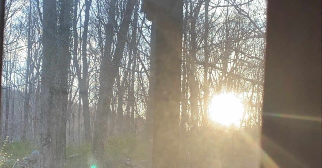 日記 ４月１２日 アメリカの国勢調査 佐久間裕美子 Note