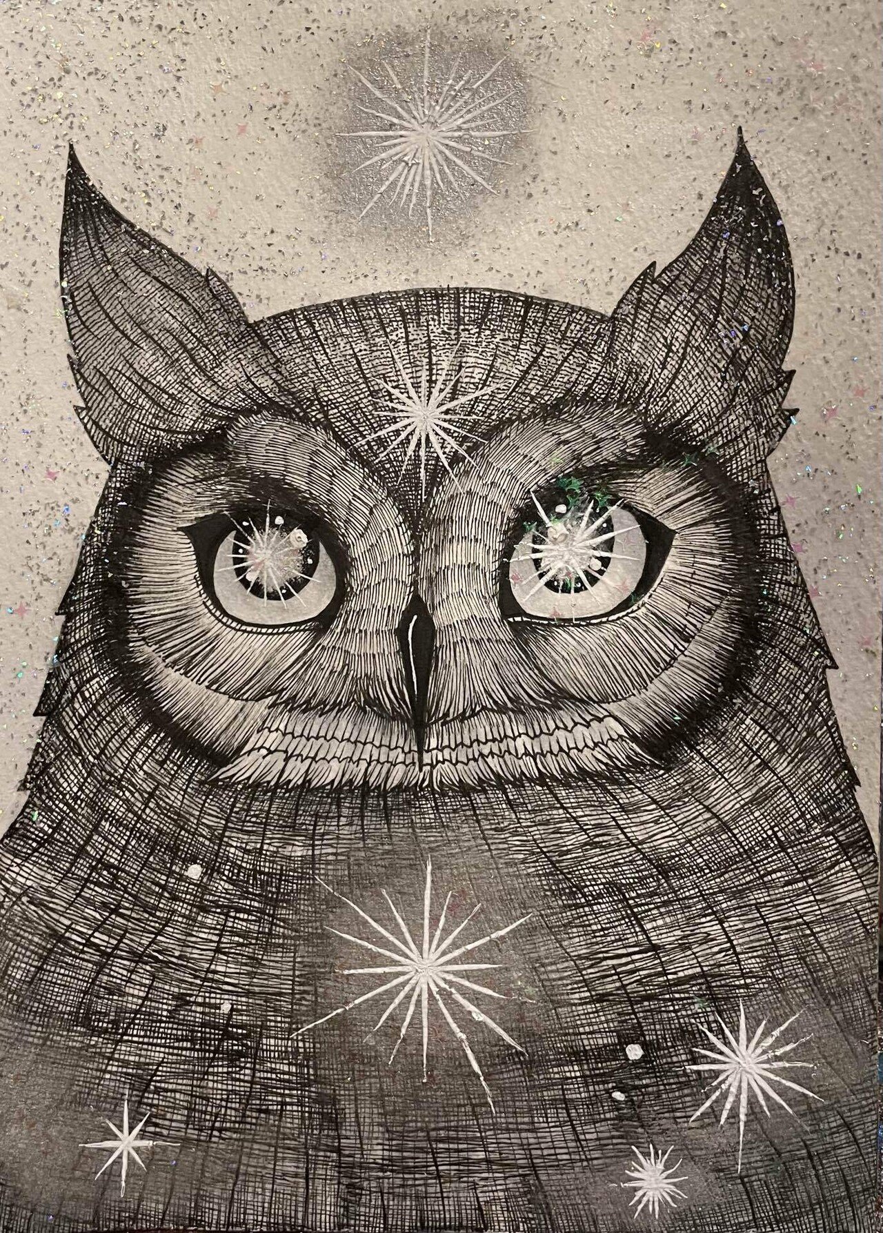 ✨今日の3枚✨｜フクロウシホ