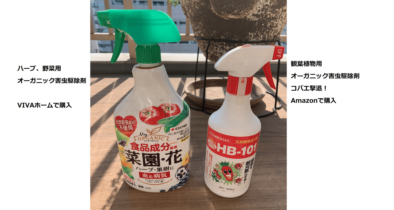 おうち時間 お部屋で観葉植物育てよう おすすめの土と虫対策 ベランダでハーブ栽培もできるよ Amy Thepremier Cafe Note おうち時間 お部屋で観葉植物育てよう おすすめの土と虫対策 ベランダでハーブ栽培もできるよ Amy Thepremier Cafe Note