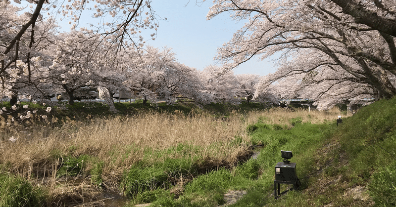 最高に楽しい受験生活を 桂 章皓 Note