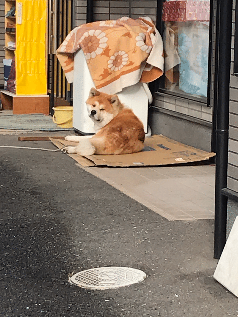 大分一人旅 Part3 岡山出身のでー学生 Note