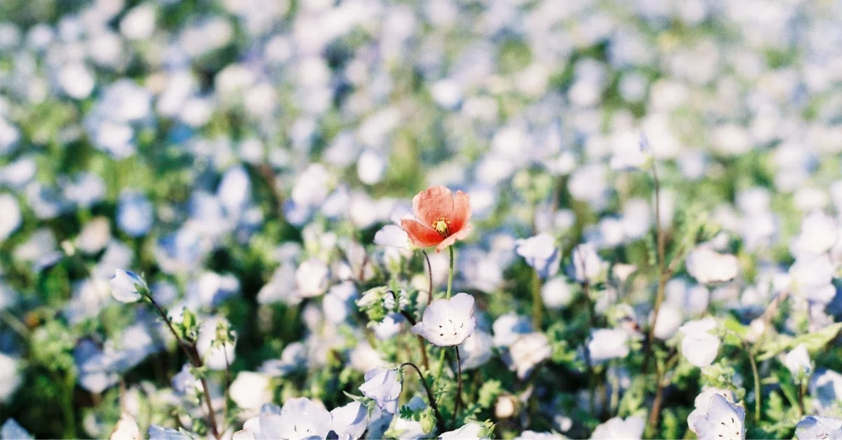 Think. Read I want to think about a rich life|ao.