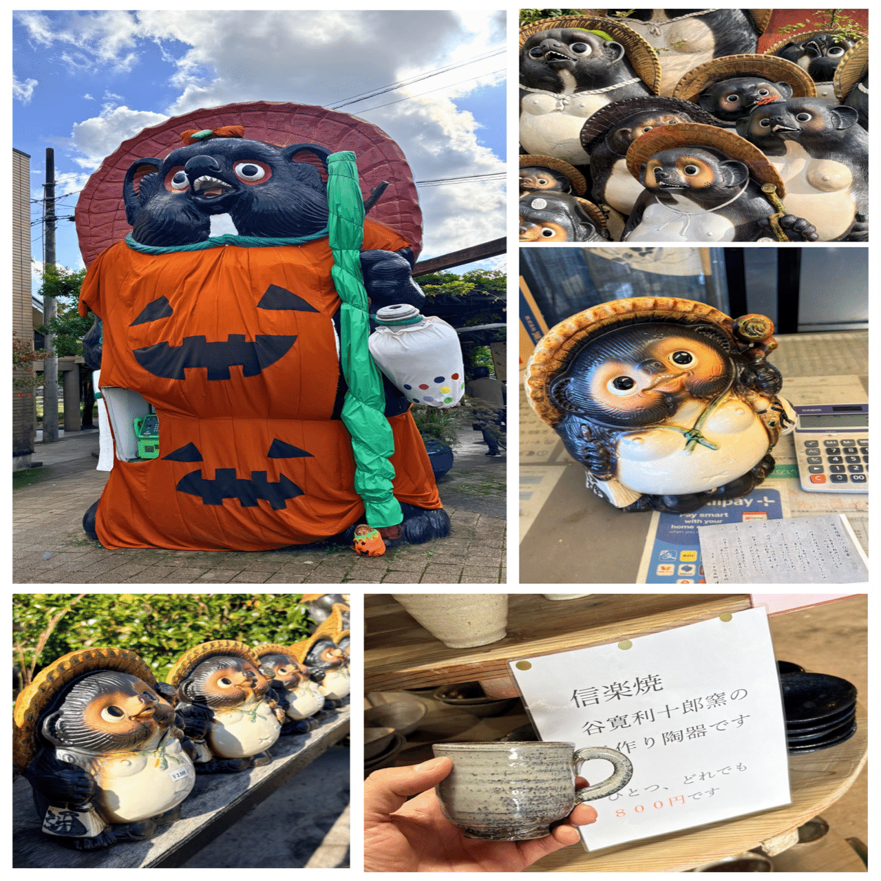 設楽たぬき｜ビキトル