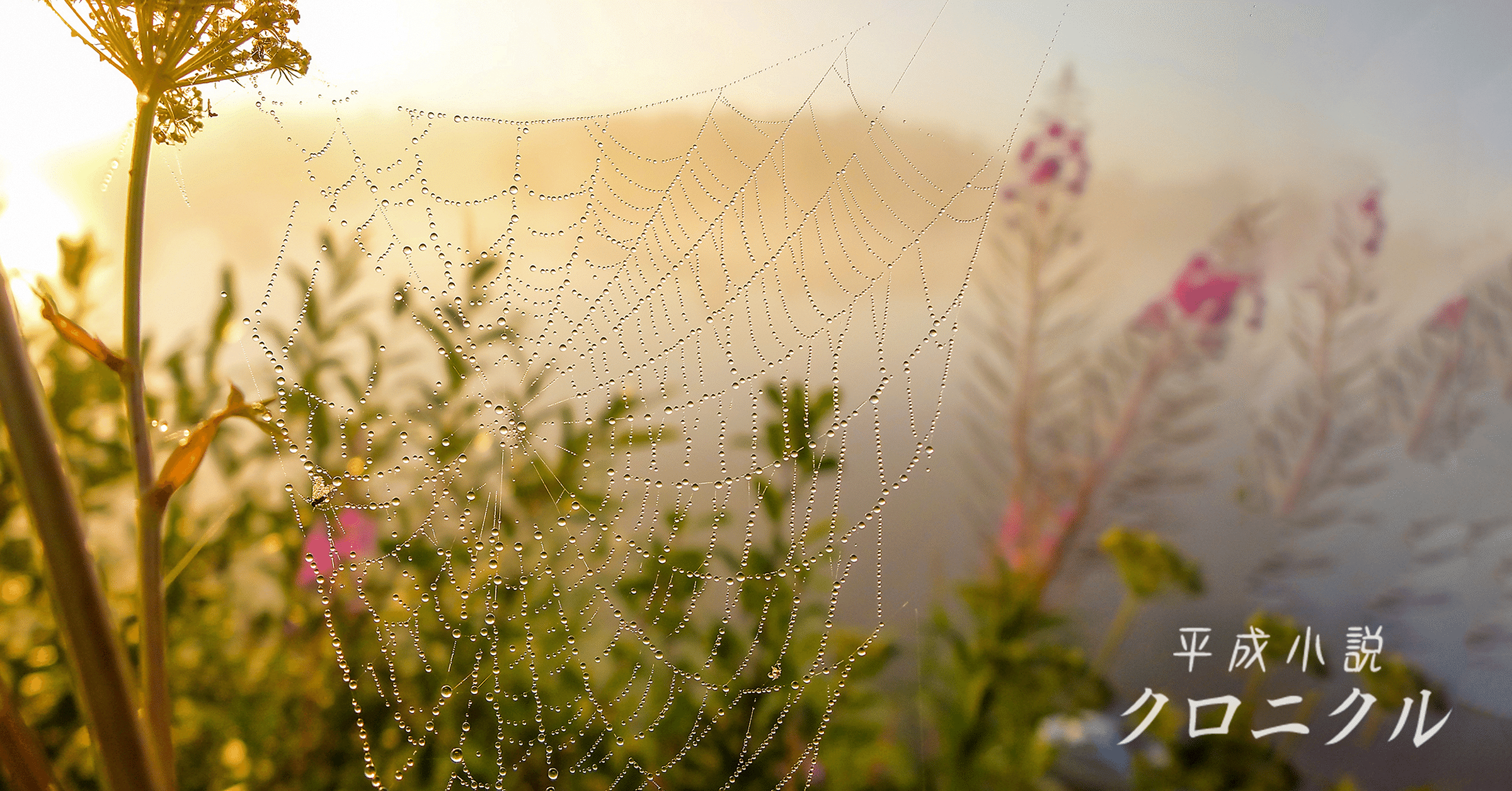 ファンタジーからファンタジーへ 水野良から川原礫へ 後編 前島賢 Monokaki 小説の書き方 小説のコツ 書きたい気持ちに火がつく