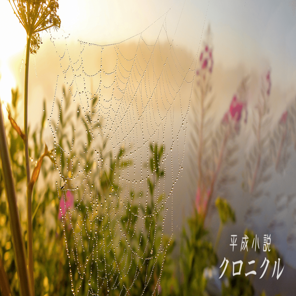 ファンタジーからファンタジーへ｜水野良から川原礫へ〔後編〕｜前島賢