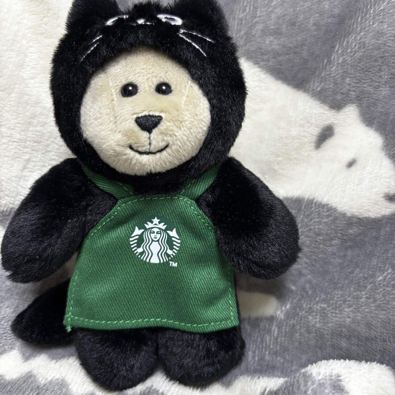 ハロウィン★カボチャくま くま&カボチャは相性が良い！ハロウィン2025の記録｜くま探 ポメ緒