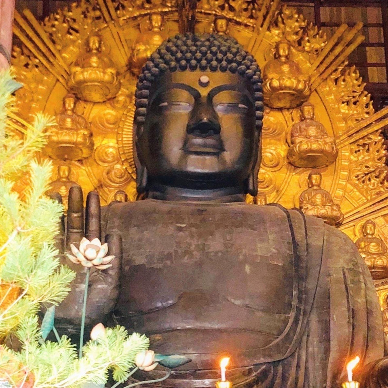 奈良 奈良のソフトクリームガイド プロソフトクリーマー森川 Note 奈良 奈良のソフトクリームガイド プロソフトクリーマー森川 Note