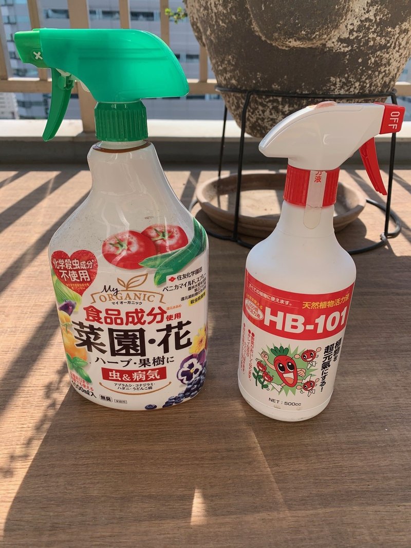 おうち時間 お部屋で観葉植物育てよう おすすめの土と虫対策 ベランダでハーブ栽培もできるよ Amy Thepremier Cafe Note