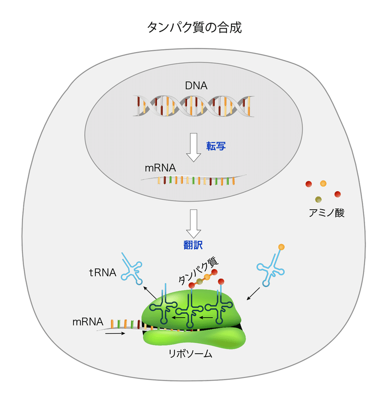 スクリーンショット 2020-04-13 15.28.16