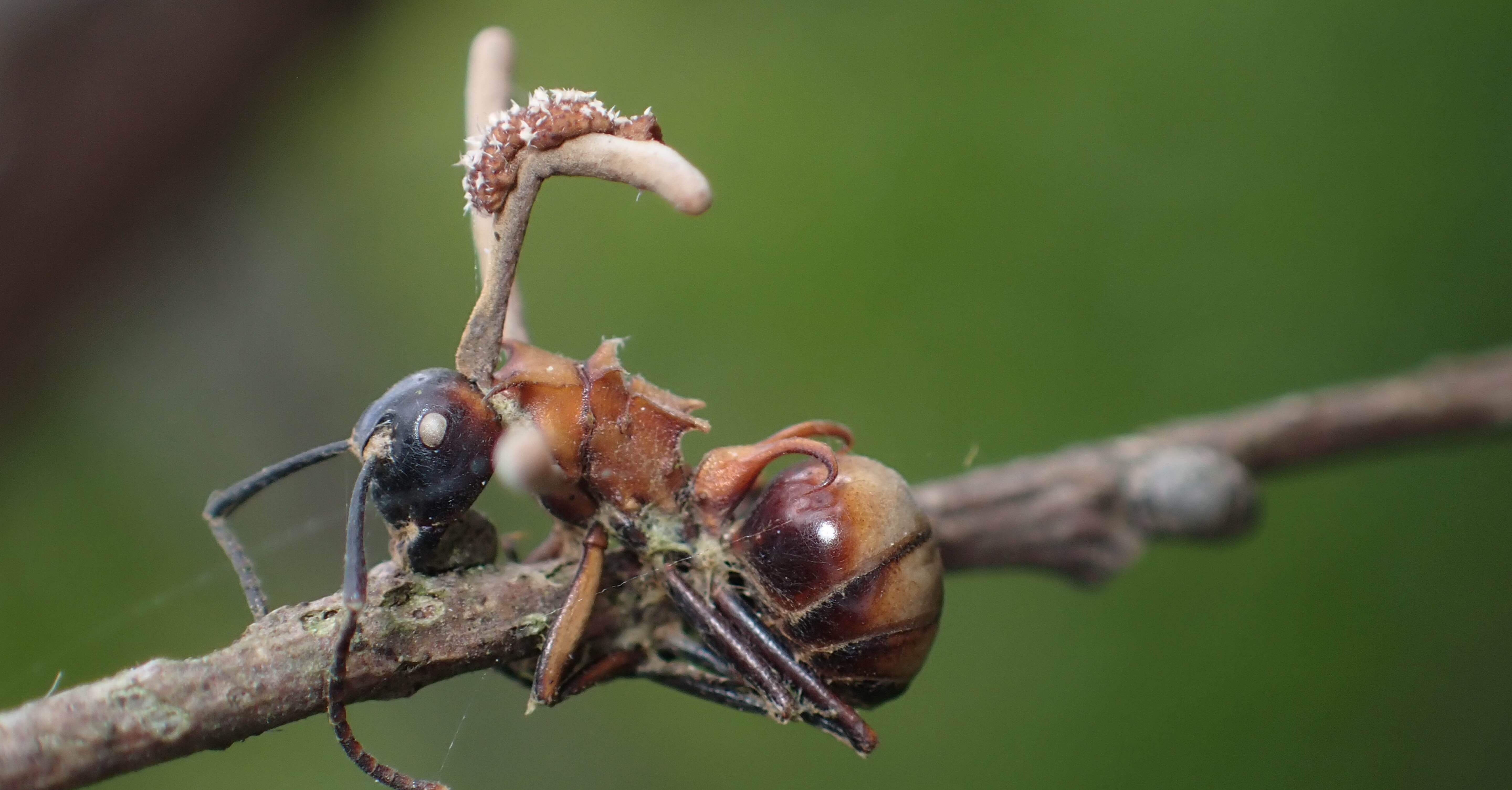 785249e17a13c1d124d984a16284ce