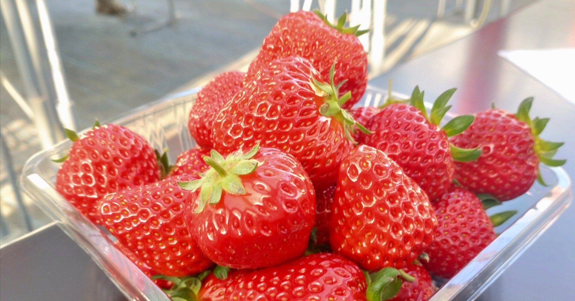 川崎市多摩区】旬の品種をいちご狩り！30分食べ放題の幸せ家族時間