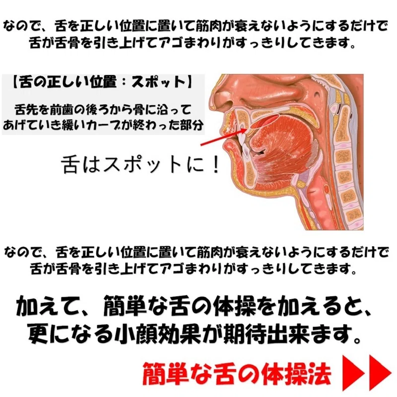 あいうべ体操 帯広市の歯科 歯医者は ますち歯科診療室