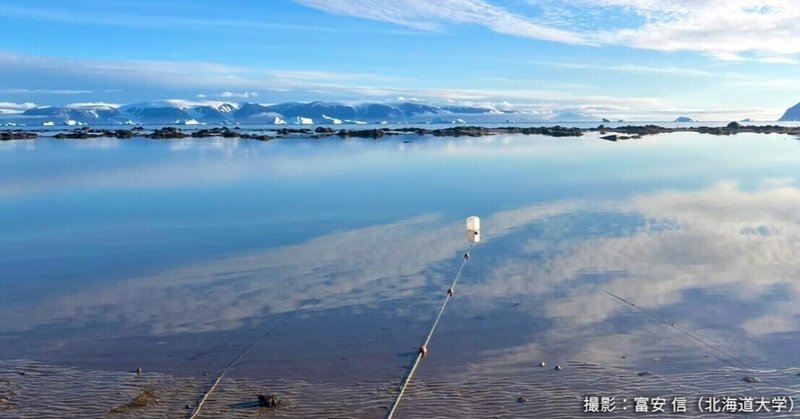 グリーンランド・カナック沿岸での現地調査2025 ④