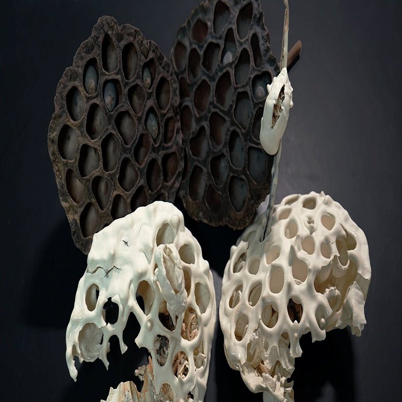 津田友子個展『記憶の殻』 / 作家インタビュー｜白白庵