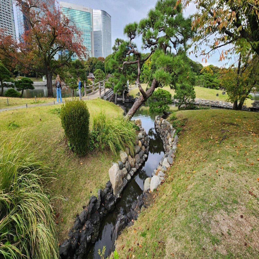 浜離宮恩賜庭園 ～海水魚が棲む庭園～ ぐるっとパス⑦｜ザ・コメタロウ