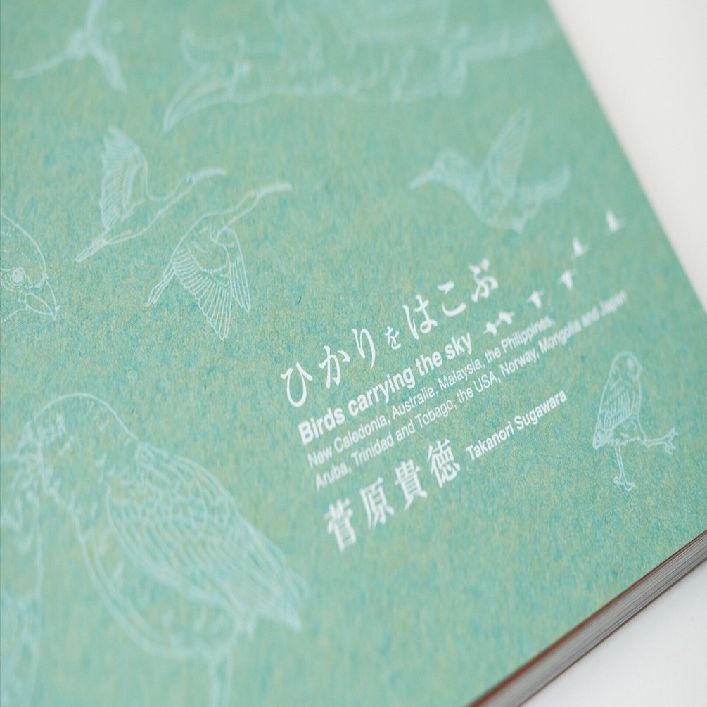 写真集『ひかりをはこぶ Birds carrying the sky』のご紹介｜菅原貴徳