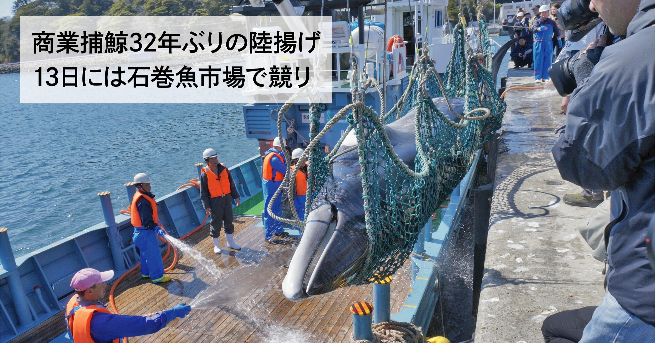 商業捕鯨32年ぶり陸揚げ ミンククジラ 3頭連続 岸壁で歓喜 鮎川に活気 石巻days 未来都市の生き方 Note