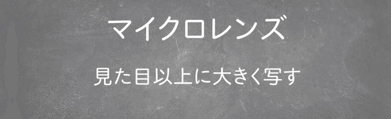 スクリーンショット 2020-02-26 18.01.23