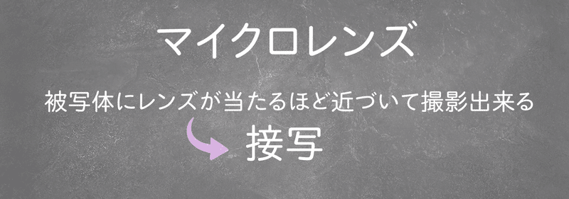 スクリーンショット 2020-02-26 18.01.46