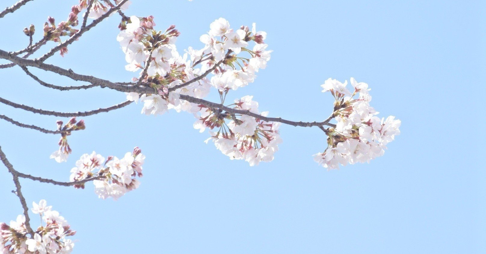 失敗する浪人生の特徴 Mikihiro Note