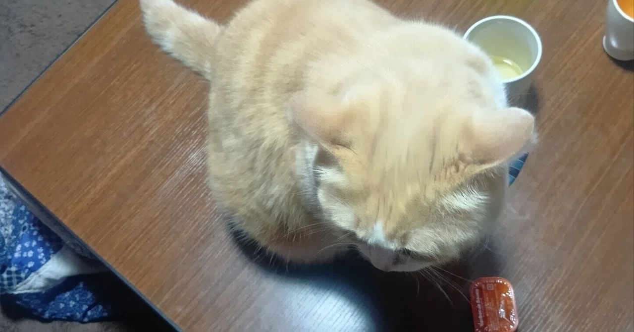 耐熱ゼロ!?猫舌の手バージョンをGeminiと考えて見た。|きみどり