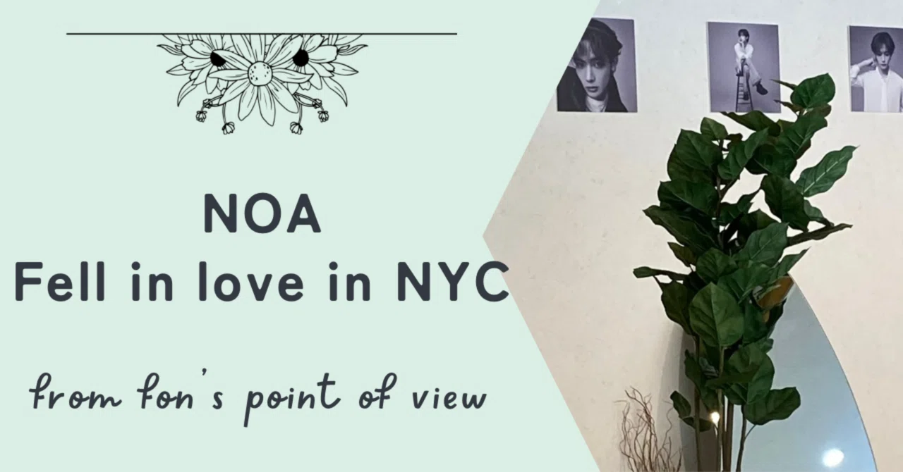NOA「Fell in love in NYC」―ファン視点の魅力｜ゆい