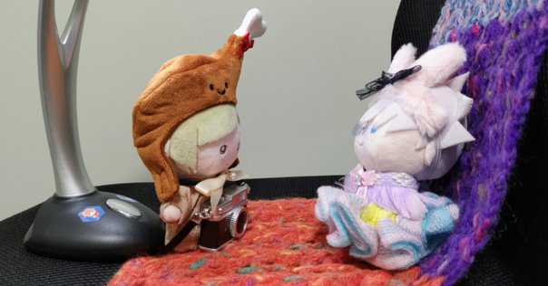 私生(無属性)ぬいオーダー記録②｜ネコマル