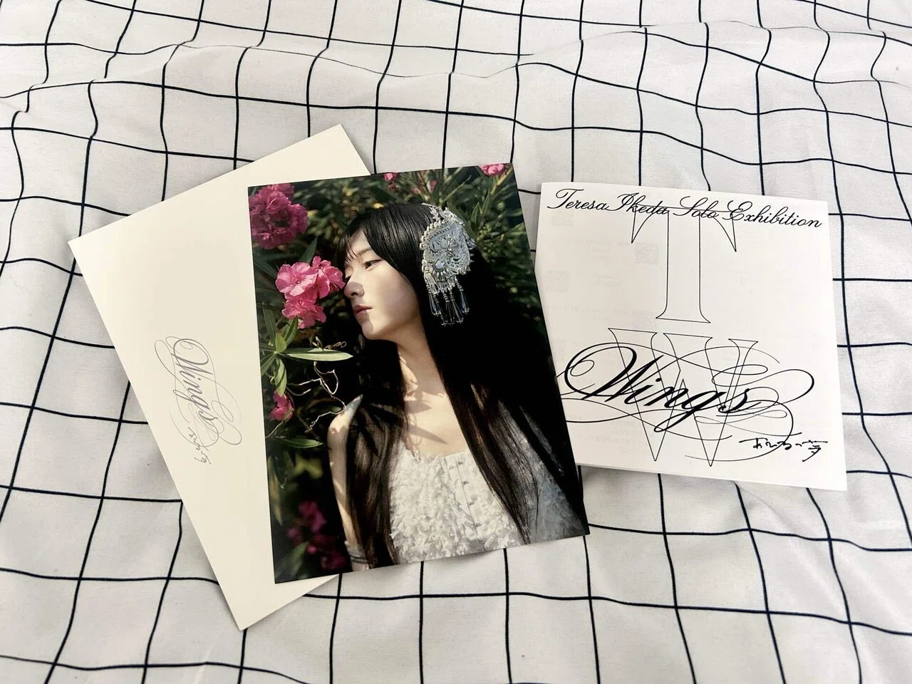 池田瑛紗個展 Wings あひるの夢 感想 cozy